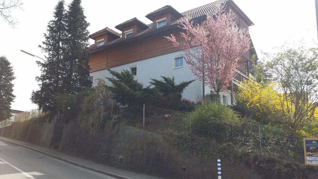 Mayerhofer House Linz Exteriör bild