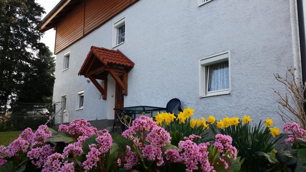 Mayerhofer House Linz Exteriör bild