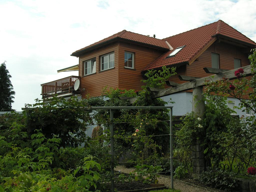 Mayerhofer House Linz Exteriör bild